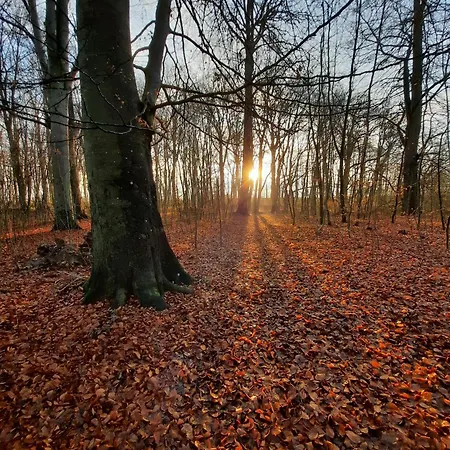 Sonnen Stuuv Stubbendorf