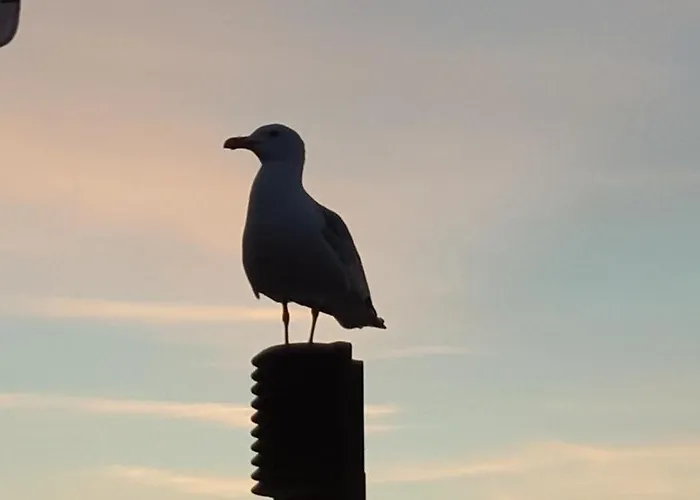 Apartment Sonnen Stuuv