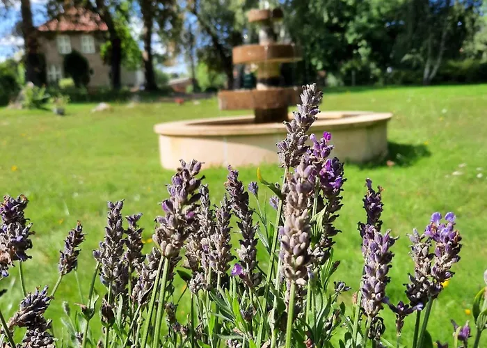 Apartment Sonnen Stuuv Stubbendorf