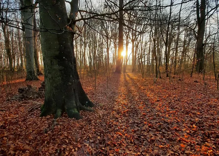 Sonnen Stuuv Stubbendorf